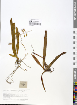 LE 01059173