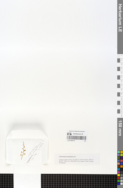 LE 01059174