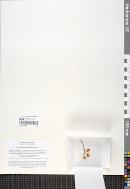 LE 01059206