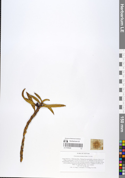 LE 01059220