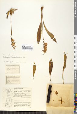 LE 01059253