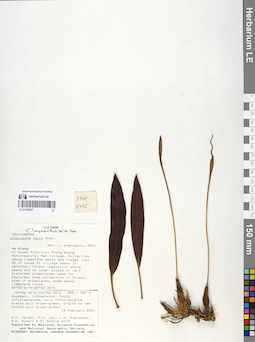 LE 01059287