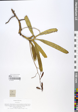 LE 01059329