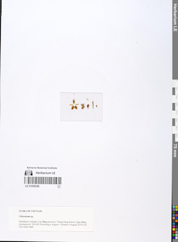 LE 01059356
