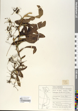 LE 01059364