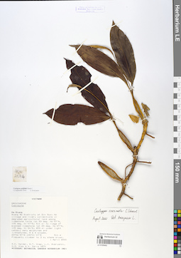 LE 01059402
