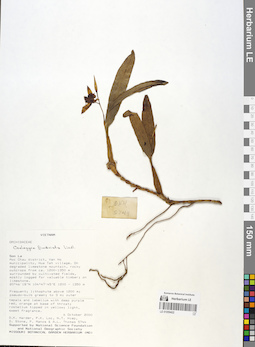 LE 01059422
