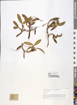 LE 01059439