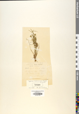 LE 01011733