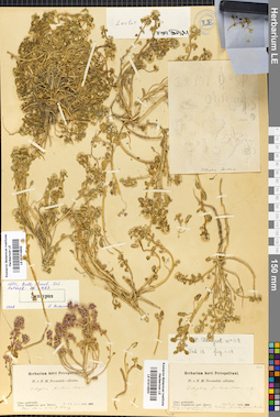 LE 01014502