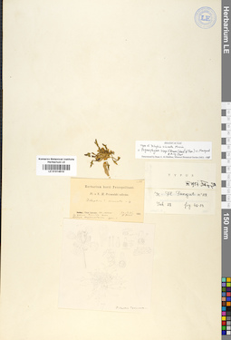 LE 01014510