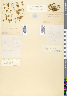 LE 01014513