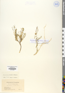 LE 01014644