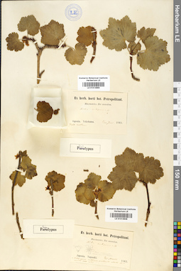 LE 01014949