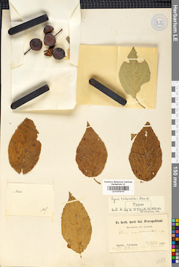 LE 01015147