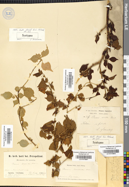 LE 01015799