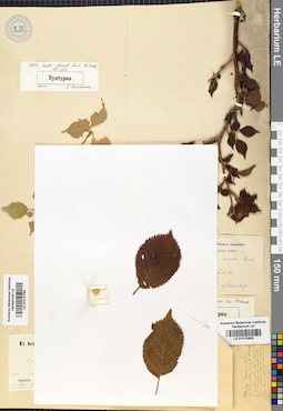 LE 01015802