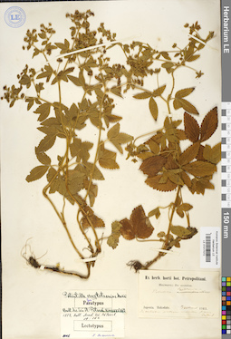 LE 01017072