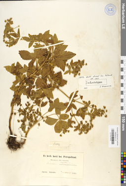 LE 01017073