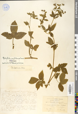 LE 01017076