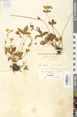 LE 01017088