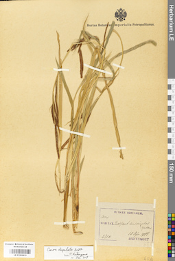 LE 01002833