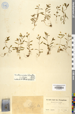 LE 01009714