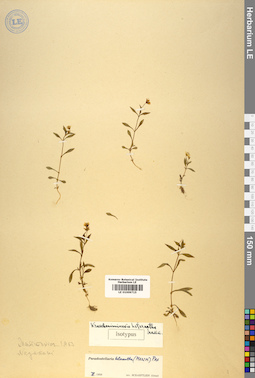 LE 01009715