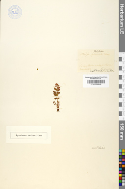 LE 01009849