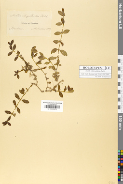 LE 01010474