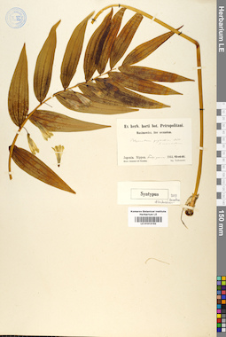 LE 01012152