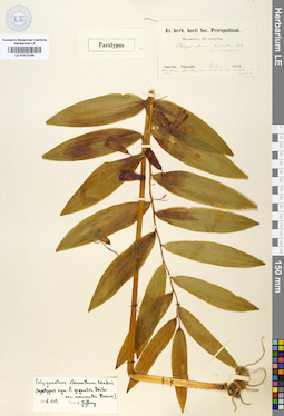 LE 01012156