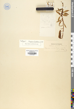 LE 01012237