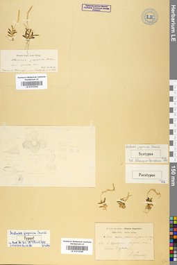 LE 01012244