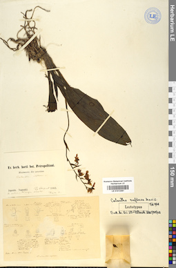 LE 01012261