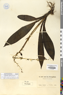 LE 01012267