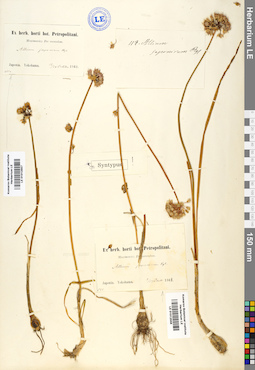 LE 01012557