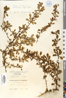 LE 01012796