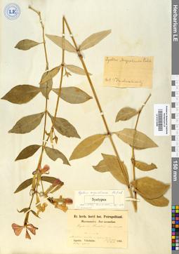 LE 01013498