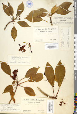 LE 01013574