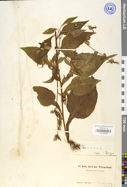 LE 01016148