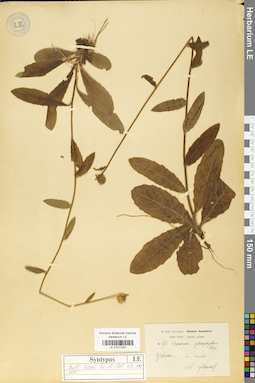 LE 01017201