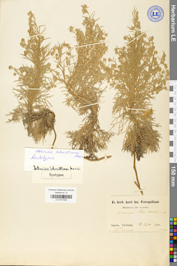 LE 01017282
