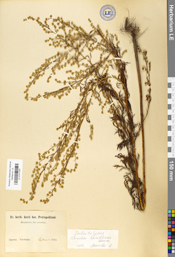 LE 01017297