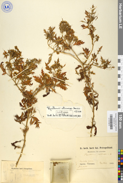 LE 01018015