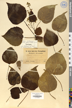 LE 01025826
