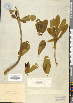 LE 01025841