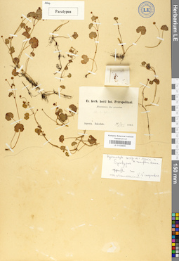 LE 01029605