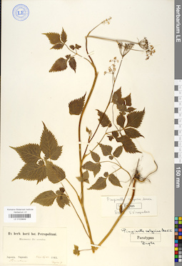 LE 01029649