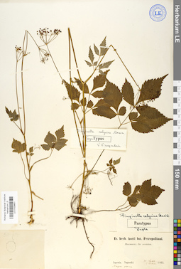 LE 01029651